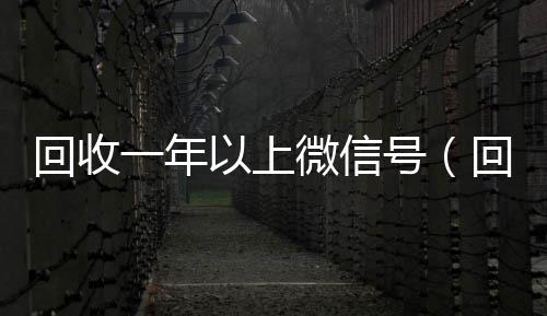 回收一年以上微信高价回收vx秒结平台号（回收一年以上微信号多少钱）